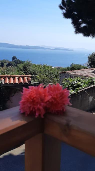 Villa La Casita Sanxenxo Exterior foto